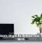 Houseplants Might Be Behind Your Sluggish Wi-Fi